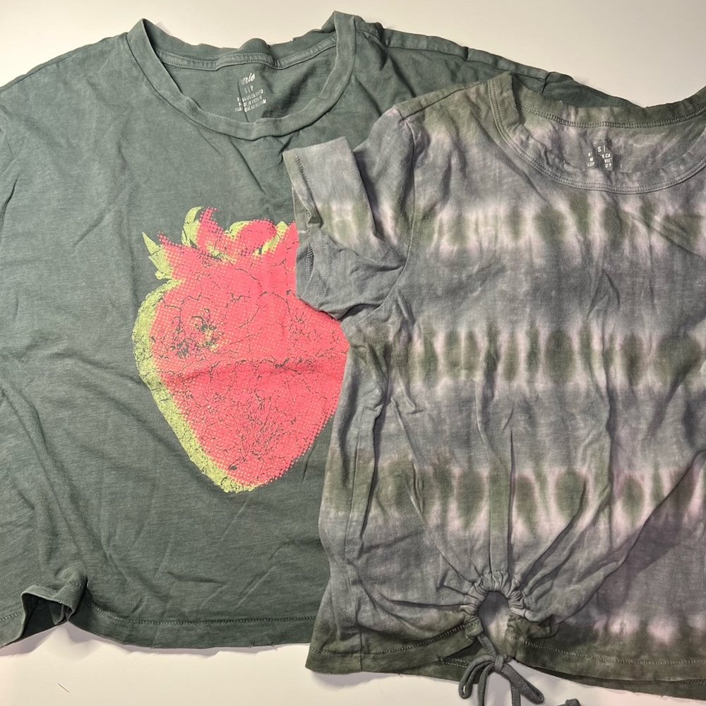 Aerie Crop Tees